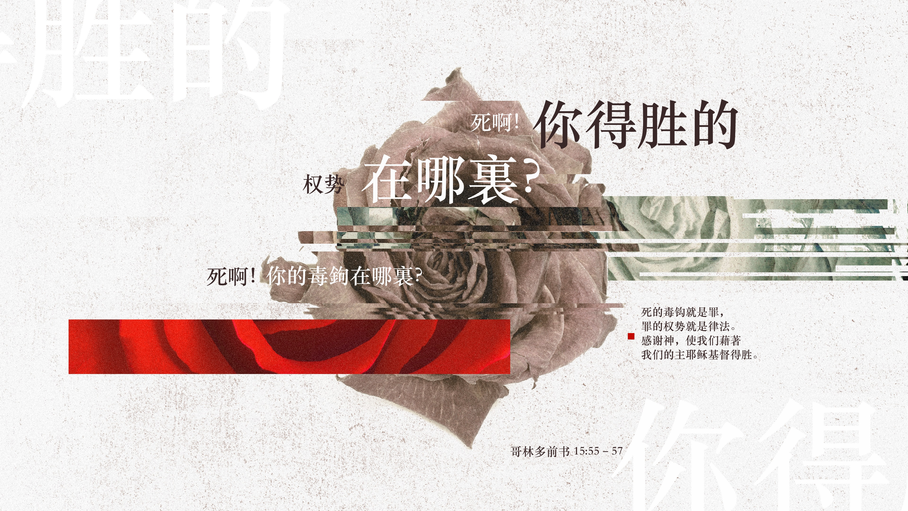 哥林多前书– 恩典材料