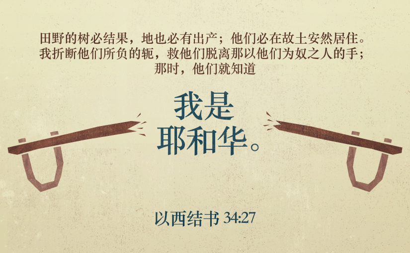 以西结书34:27