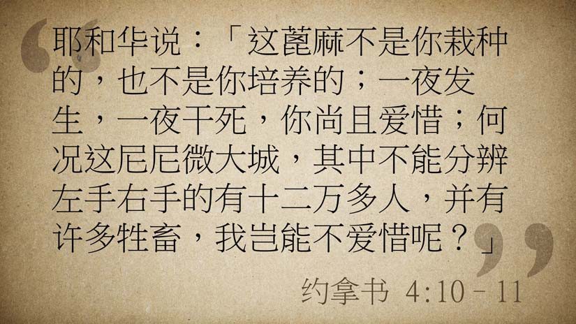 约拿书4:10-11