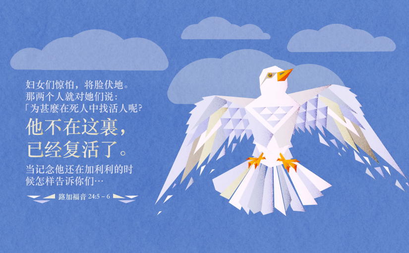 路加福音6章 Youtube