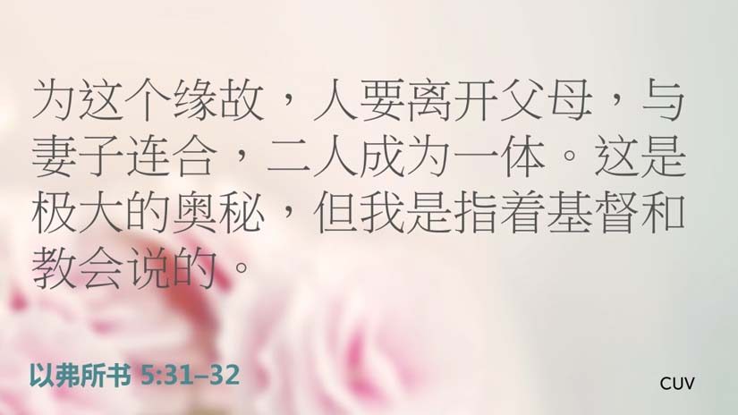 以弗所书5:31-32