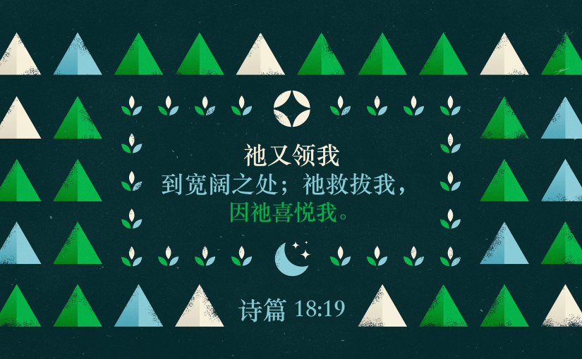 诗篇18:19