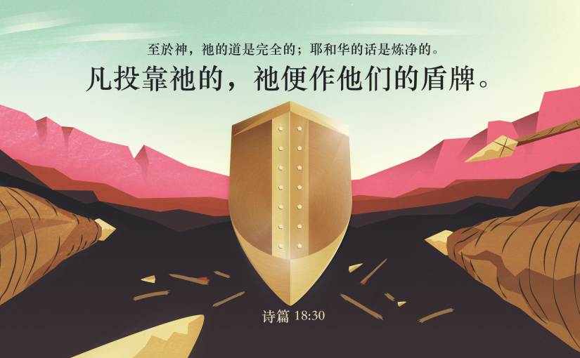 诗篇18:30