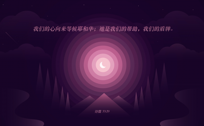 诗篇33:20