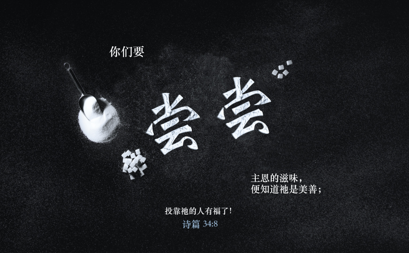 诗篇34:8（B）