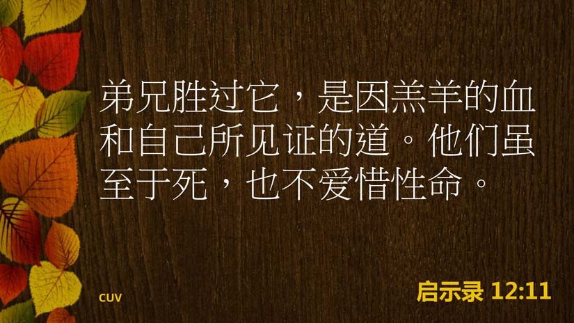 11:15-12:17天上的争战