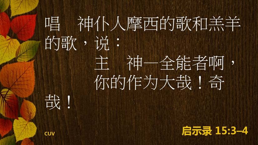 15:1-16:21七碗的审判