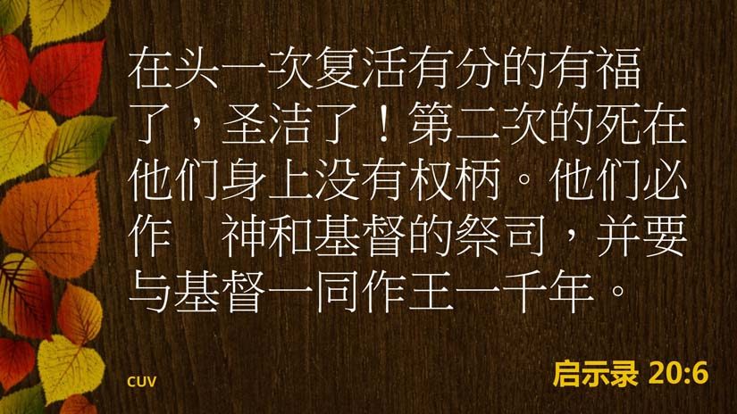 启示录20:6